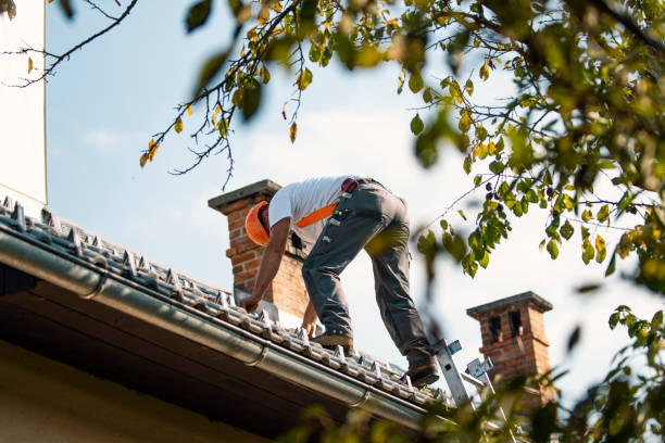 Best Metal Roofing Contractor  in Davenport, WA